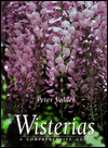 Wisterias: A Comprehensive Guide