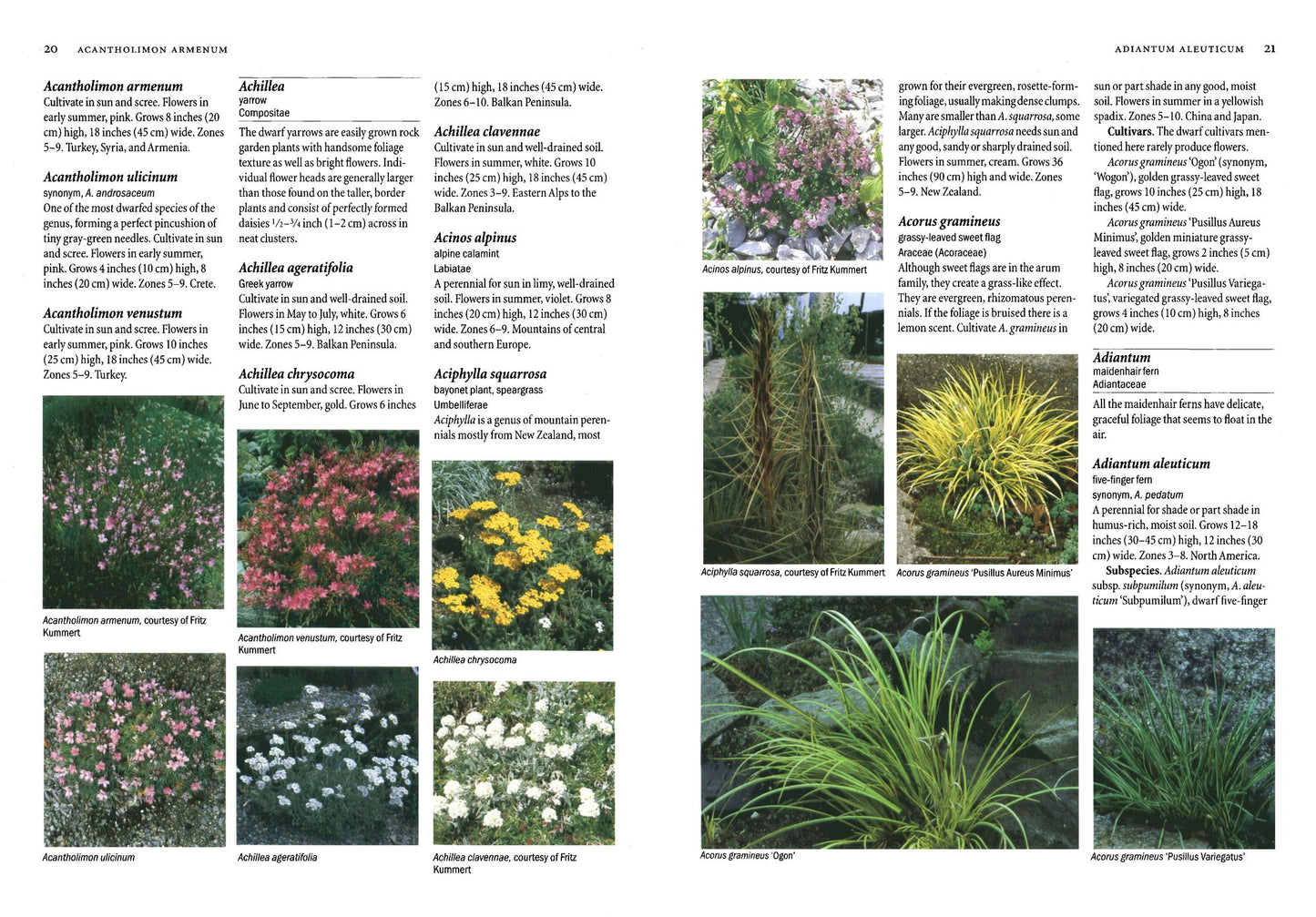 Rock Garden Plants: A Color Encyclopedia