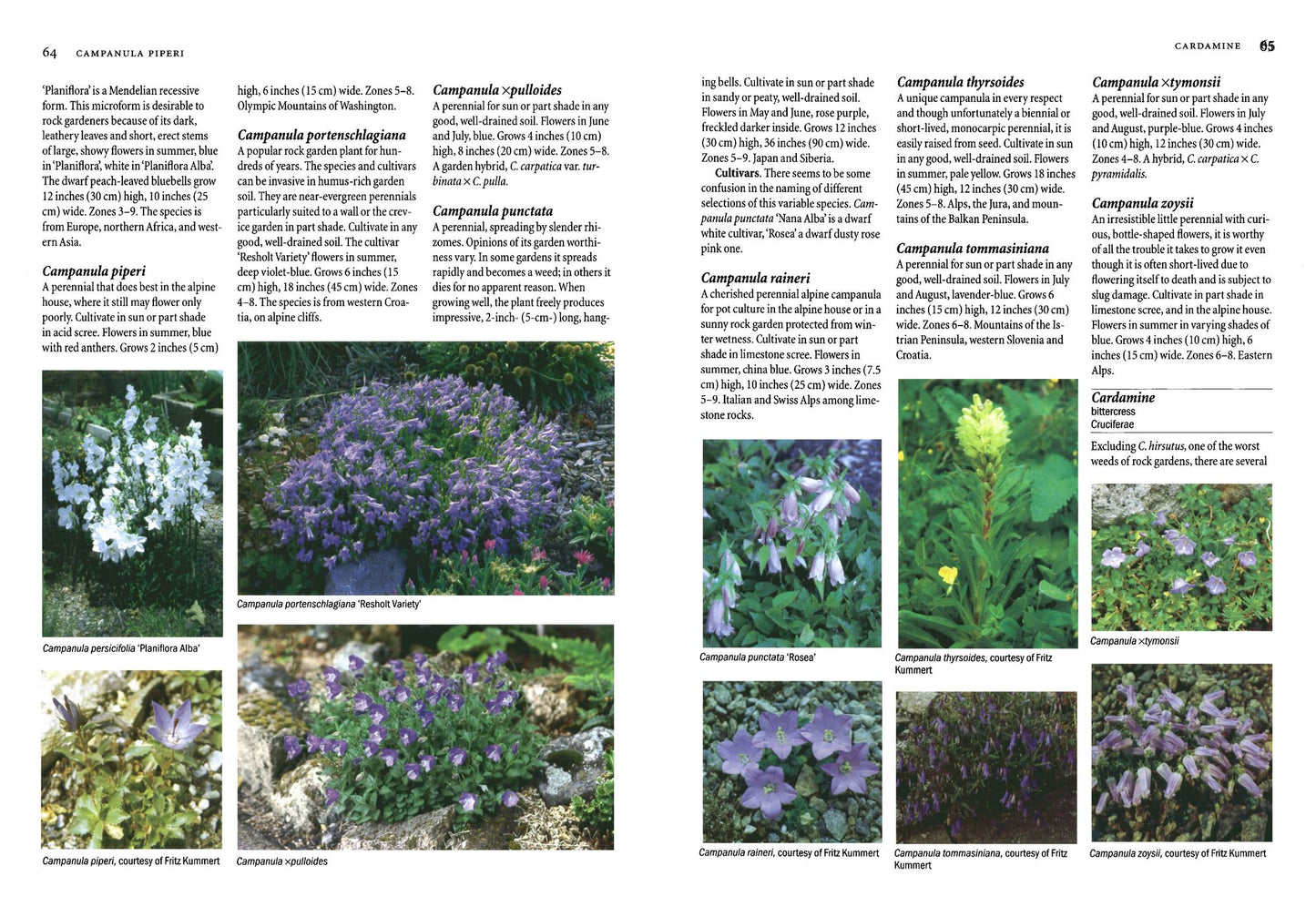 Rock Garden Plants: A Color Encyclopedia
