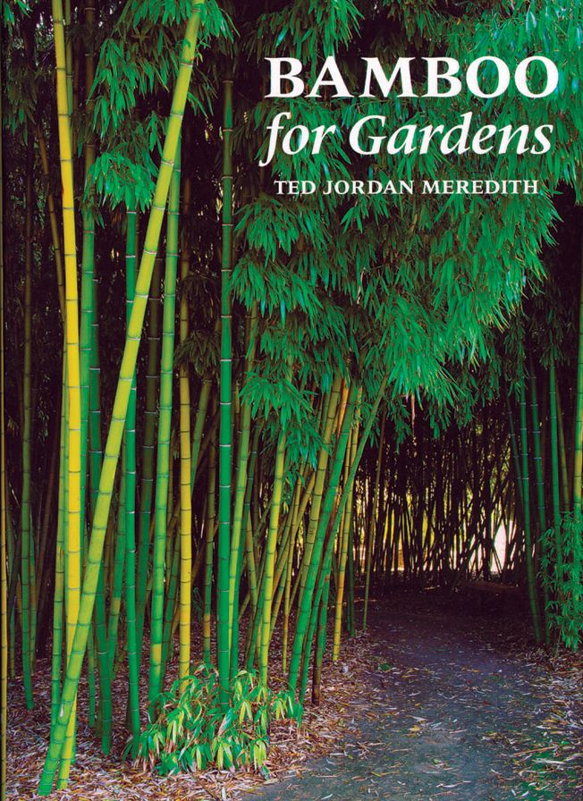 Bamboo for Gardens