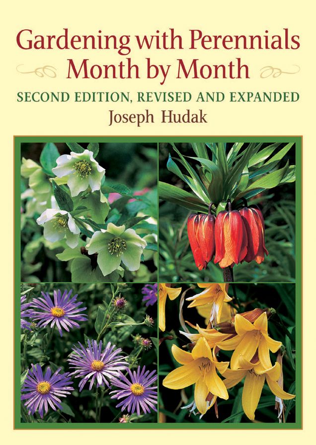Gardening with Perennials Month by Month