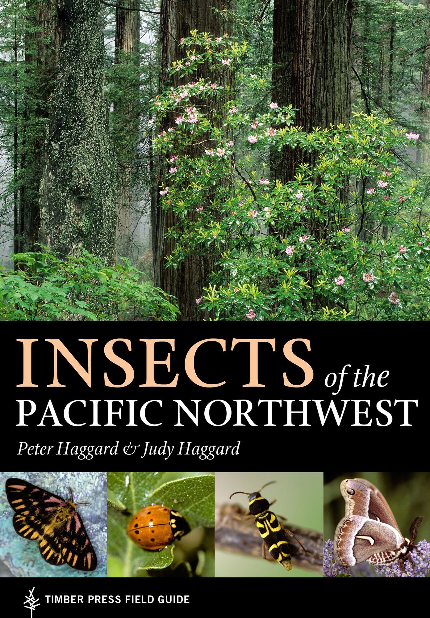Insects of the Pacific Northwest: Timber Press Field Guide