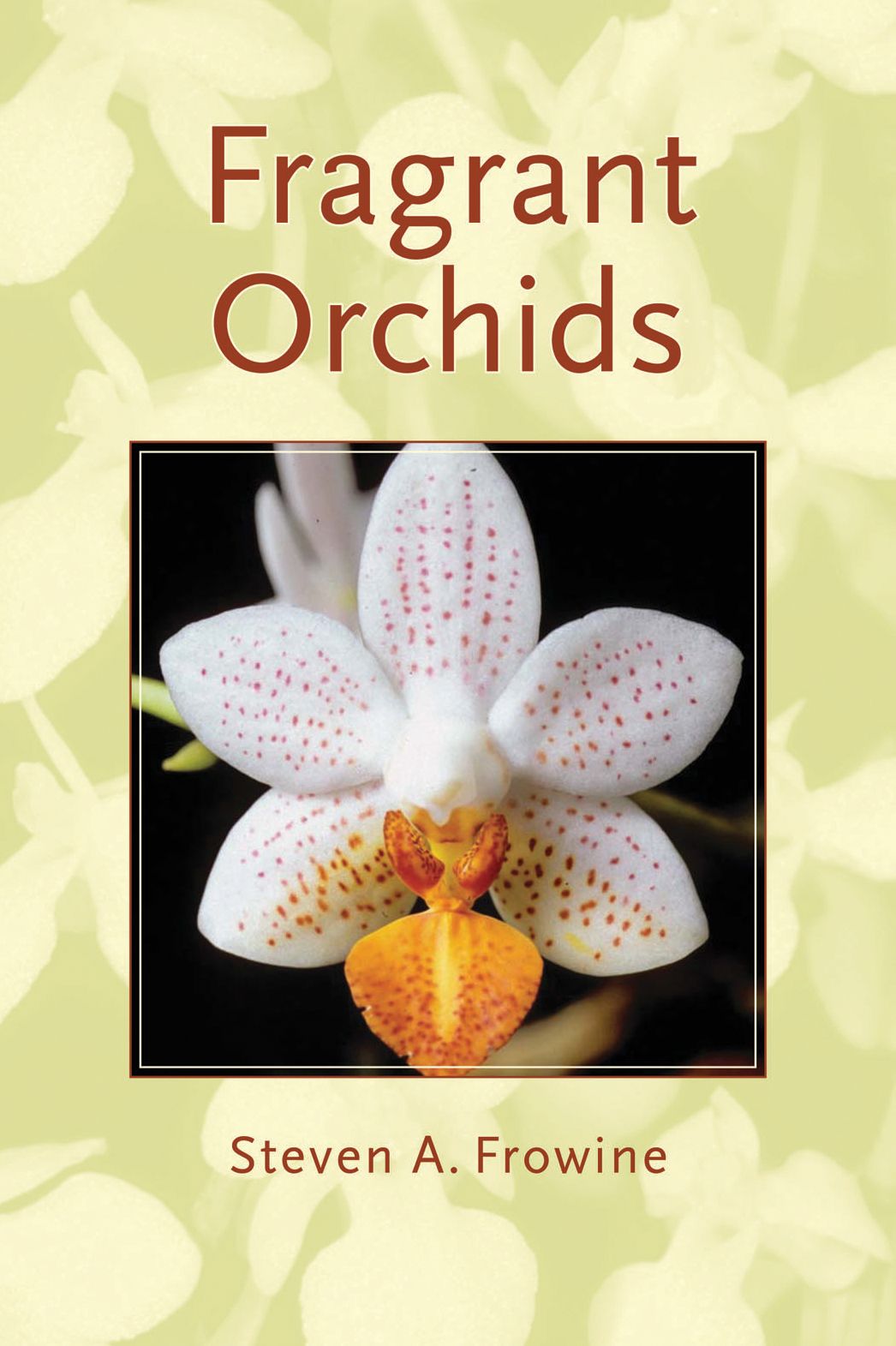 Fragrant Orchids: A Guide to Selecting, Growing, and Enjoying