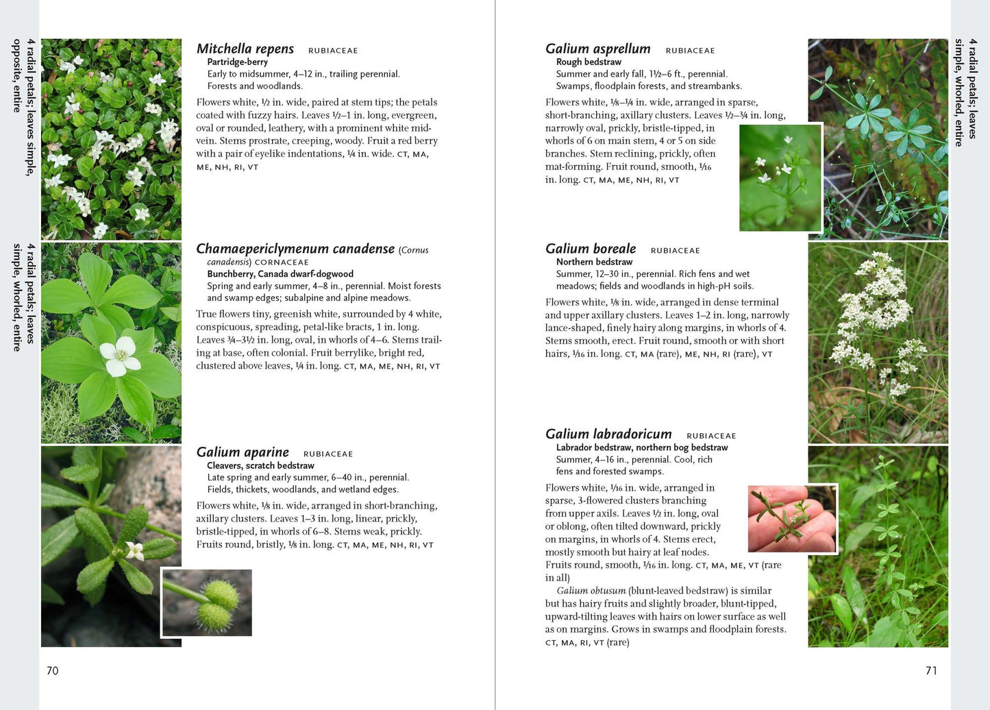 Wildflowers of the Pacific Northwest: Timber Press Field Guide