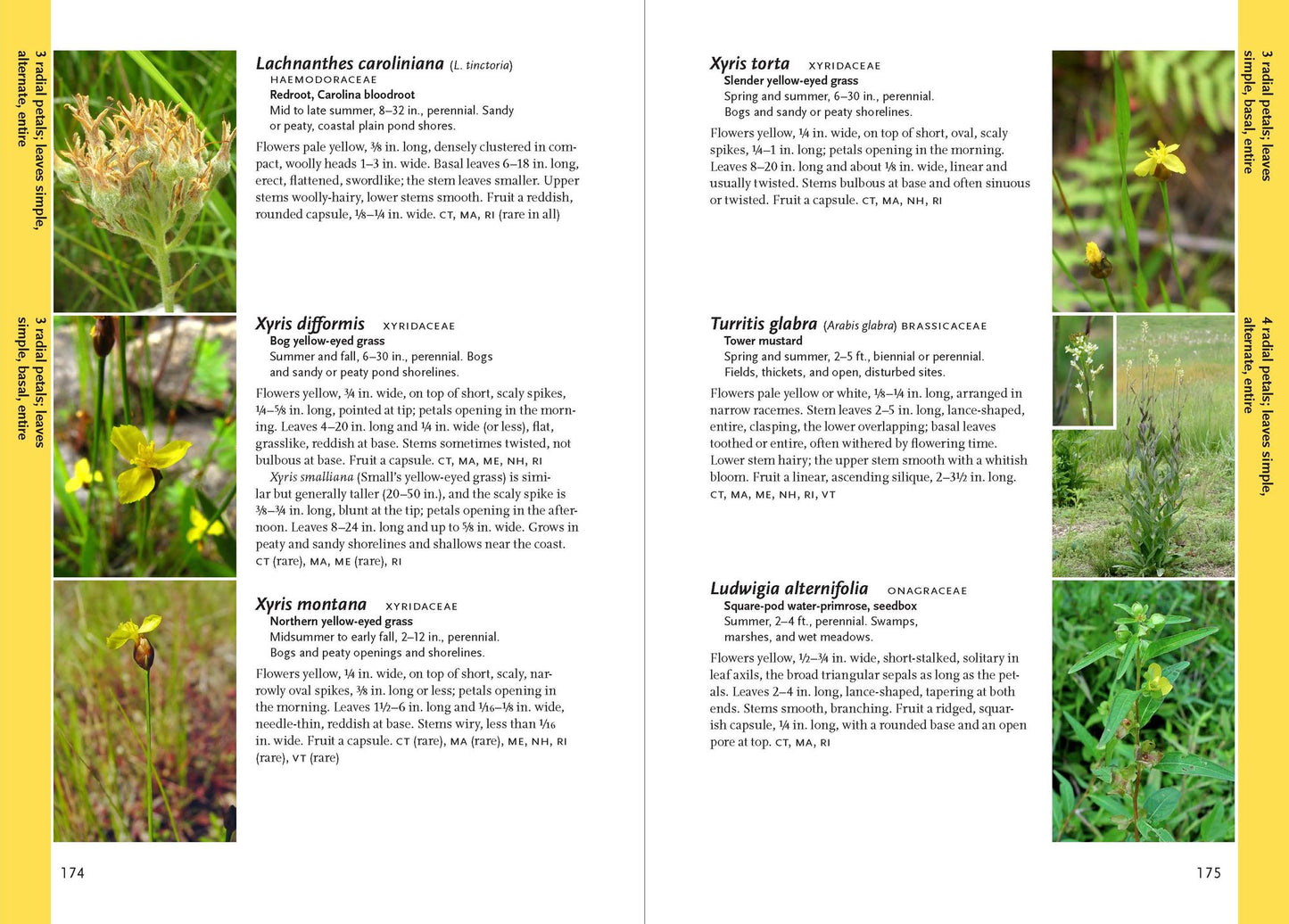 Wildflowers of the Pacific Northwest: Timber Press Field Guide
