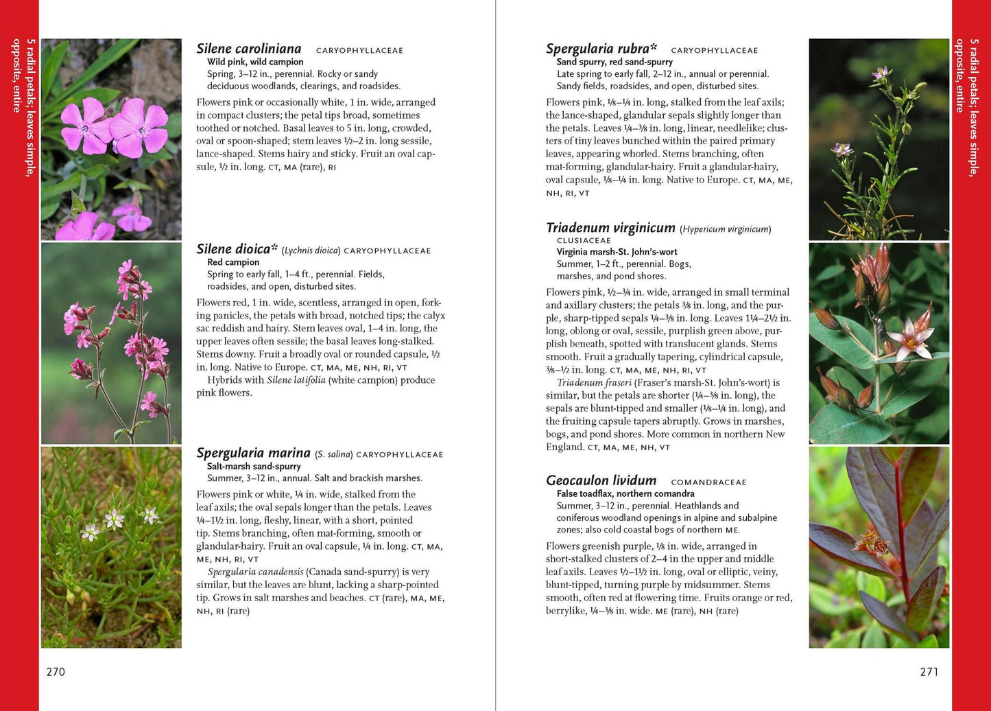 Wildflowers of the Pacific Northwest: Timber Press Field Guide