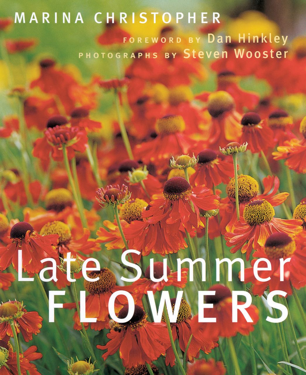 Late Summer Flowers