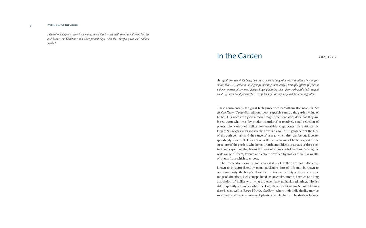 Hollies for Gardeners