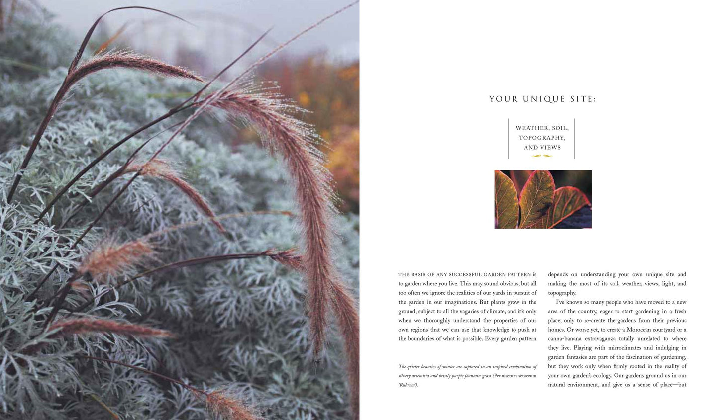 A Pattern Garden: The Essential Elements of Garden Making