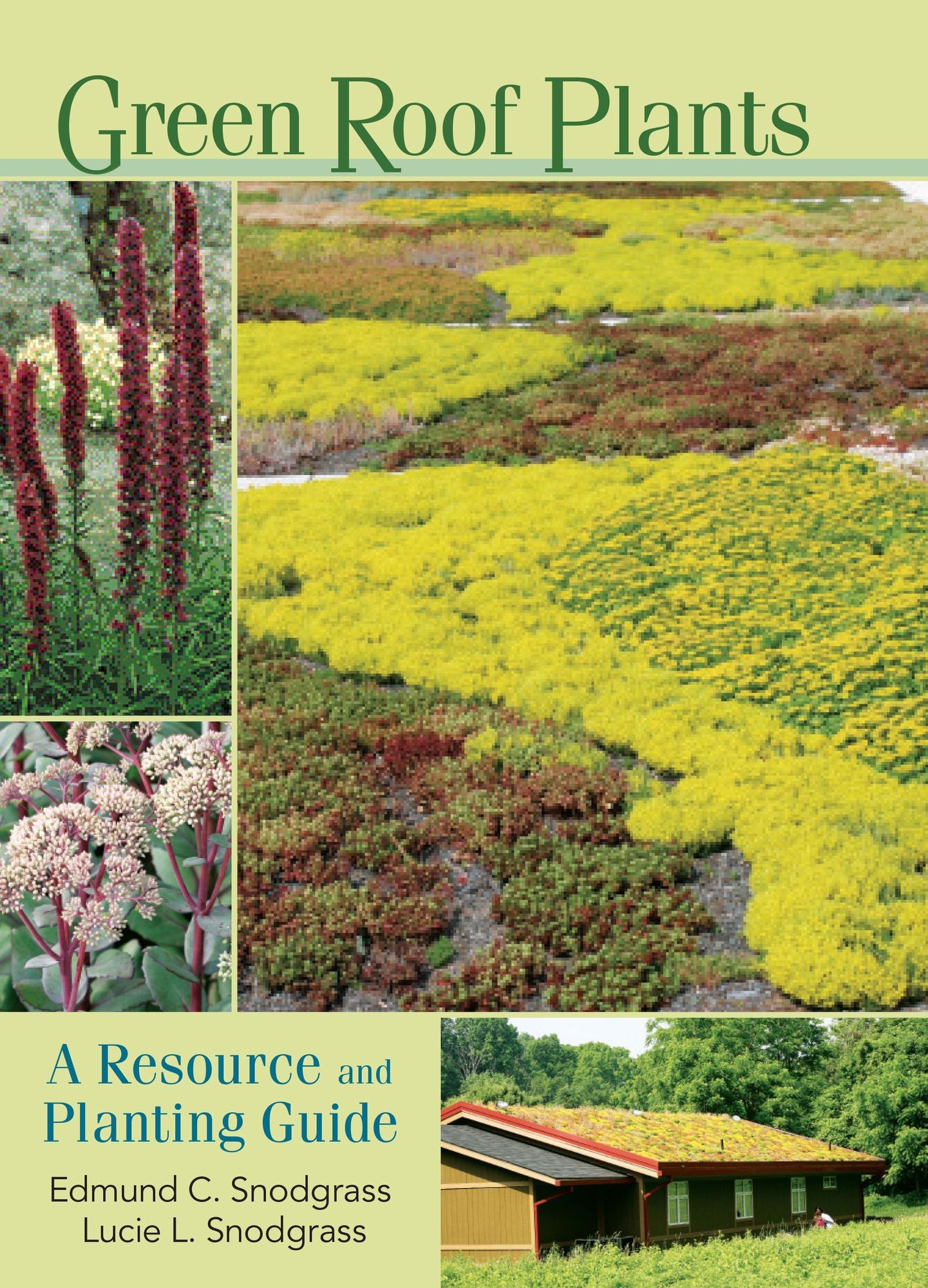 Green Roof Plants: A Resource and Planting Guide