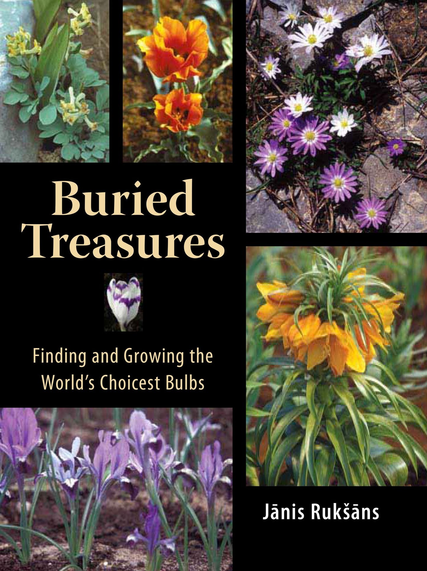 Buried Treasures: Finding and Growing the World's Choicest Bulbs