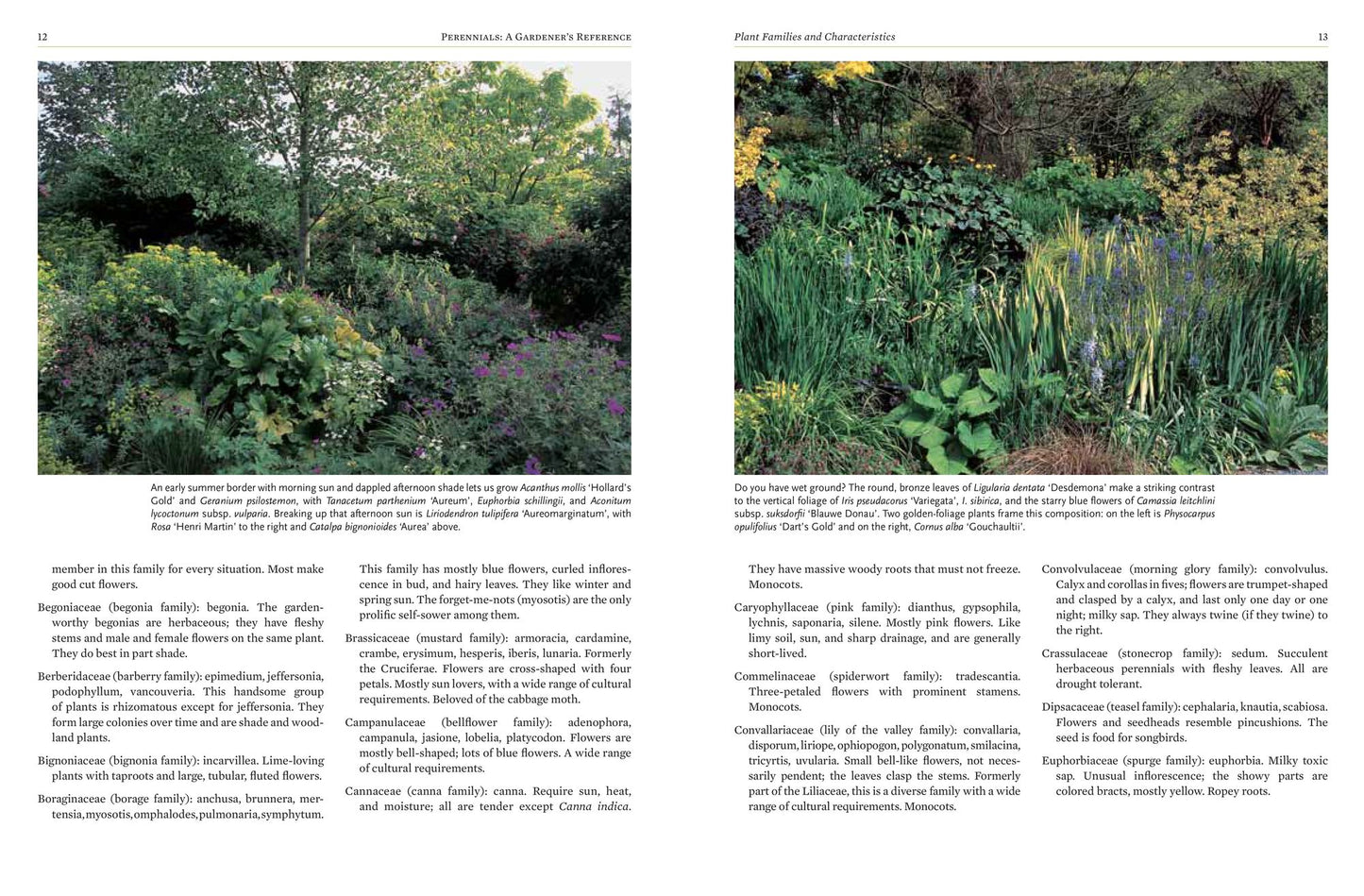 Perennials: The Gardener's Reference