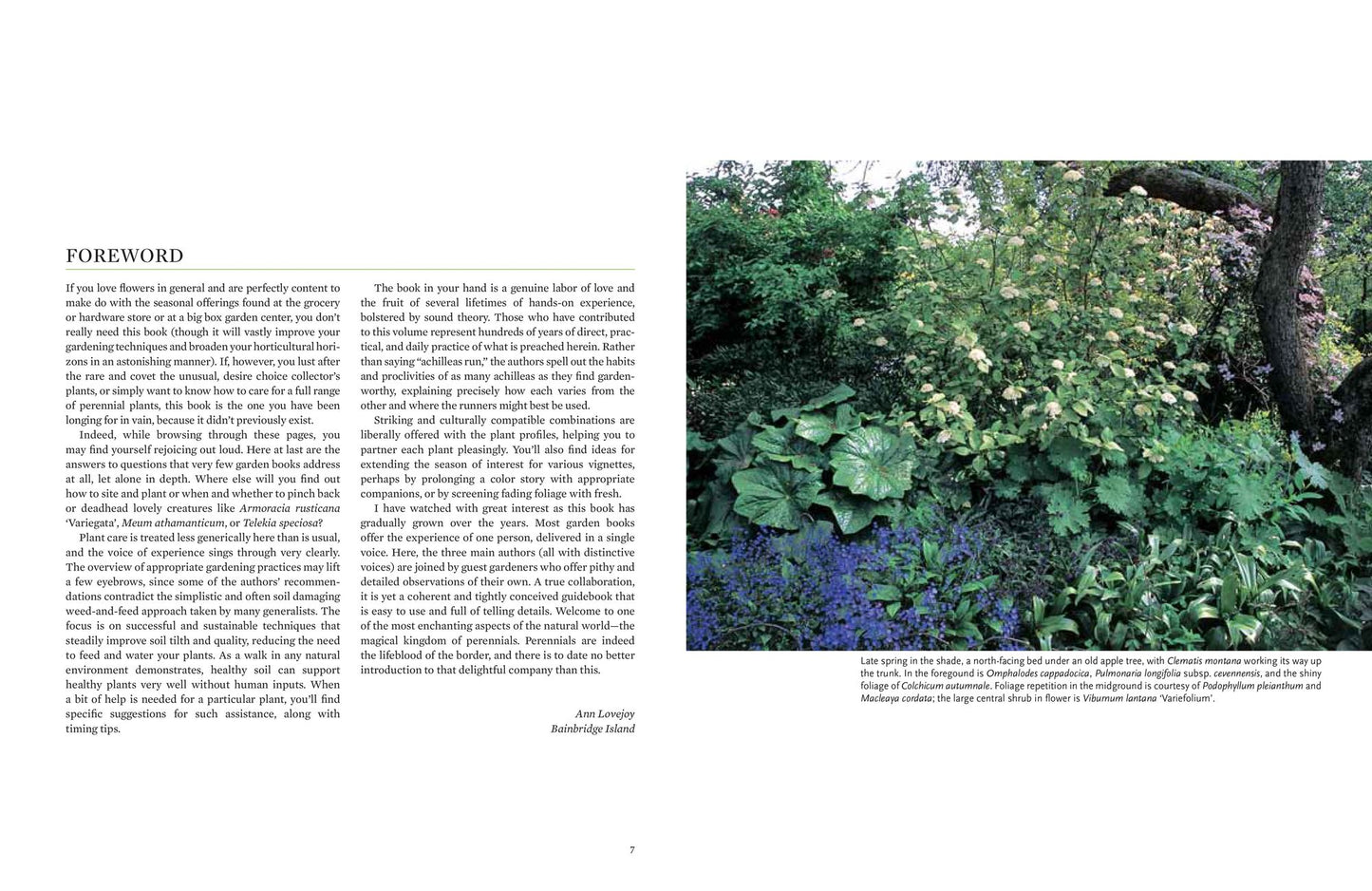 Perennials: The Gardener's Reference