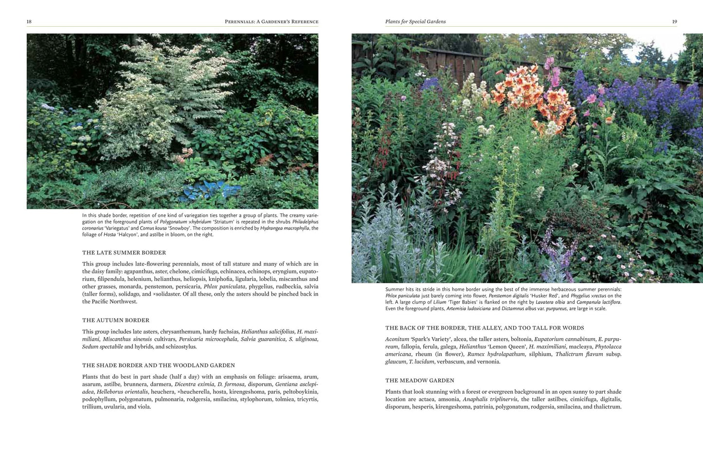 Perennials: The Gardener's Reference
