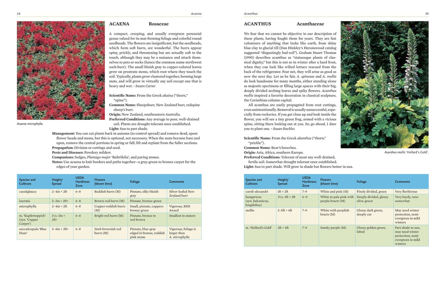 Perennials: The Gardener's Reference