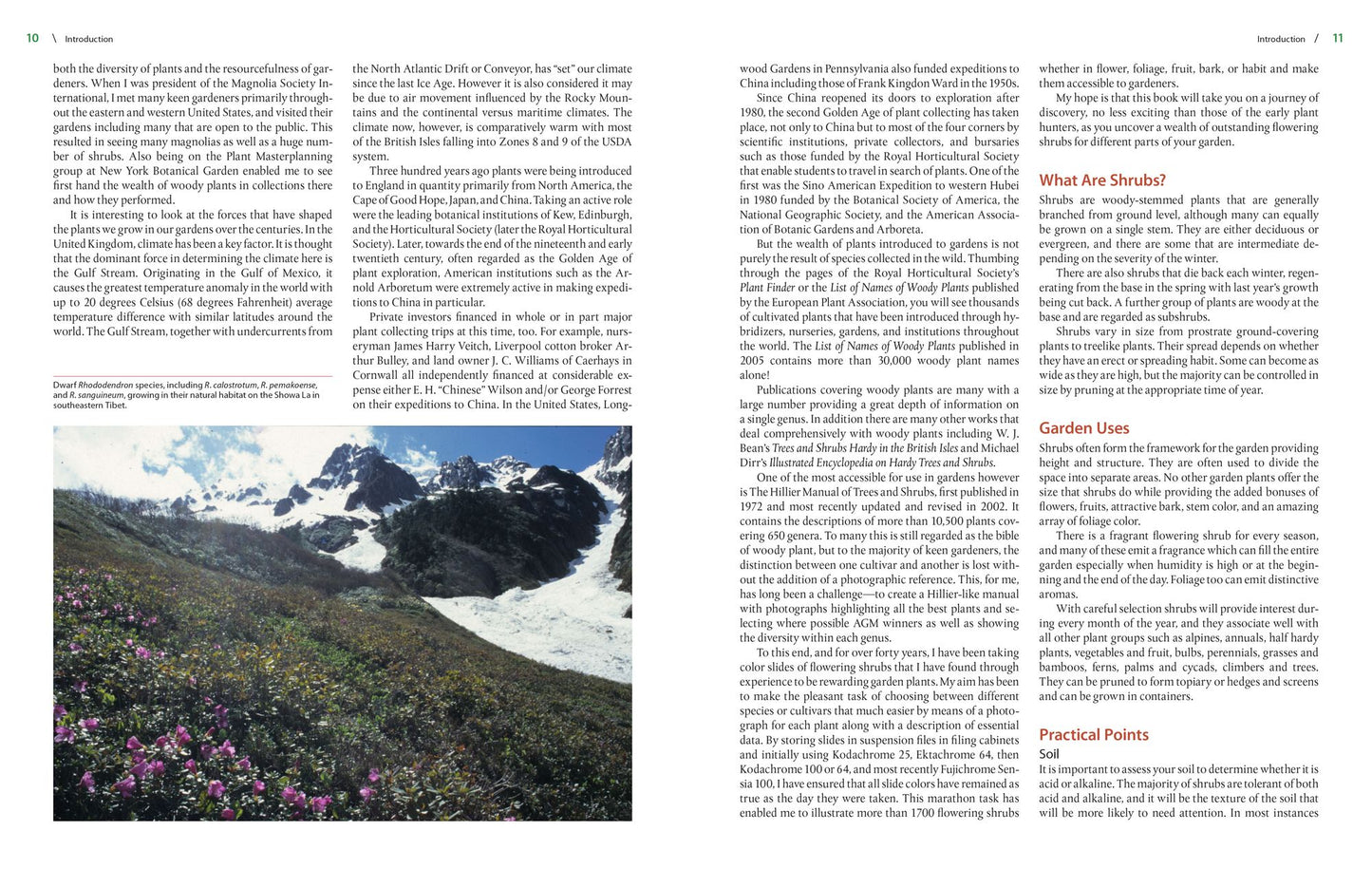 The Timber Press Encyclopedia of Flowering Shrubs
