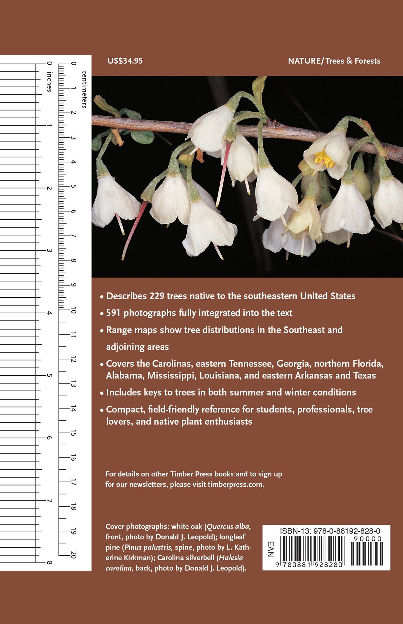 Native Trees of the Southeast: An Identification Guide