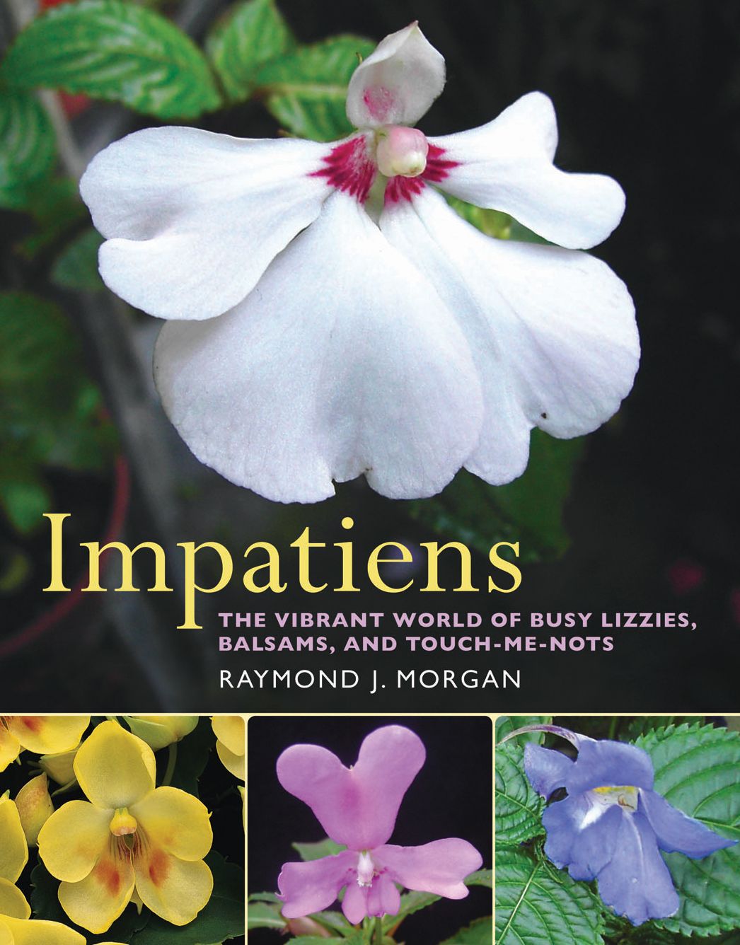 Impatiens: The Vibrant World of Busy Lizzies, Balsams, and Touch-me-nots