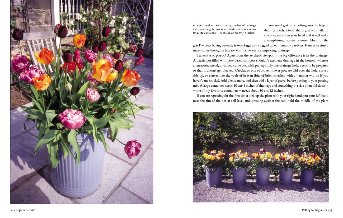 Down to Earth With Helen Dillon