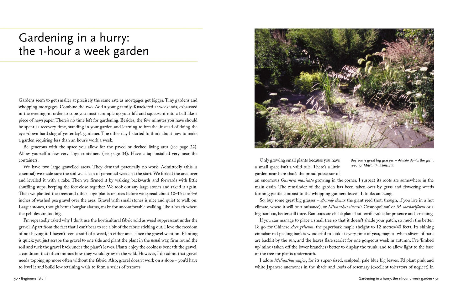 Down to Earth With Helen Dillon