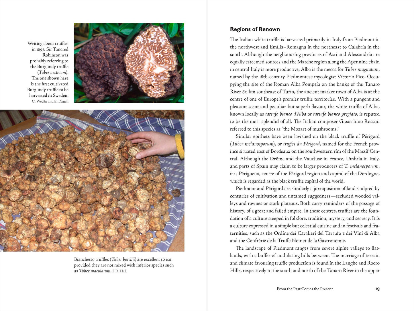 Taming the Truffle: The History, Lore, and Science of the Ultimate Mushroom