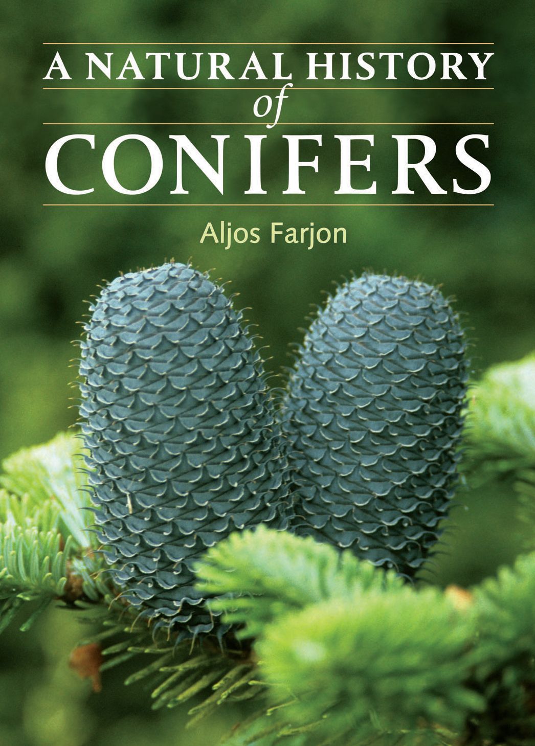 A Natural History of Conifers