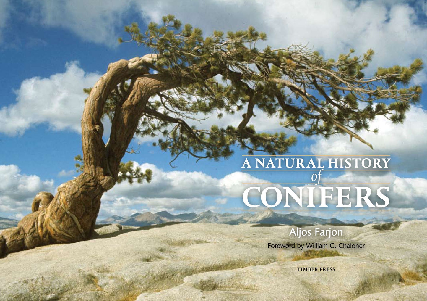 A Natural History of Conifers