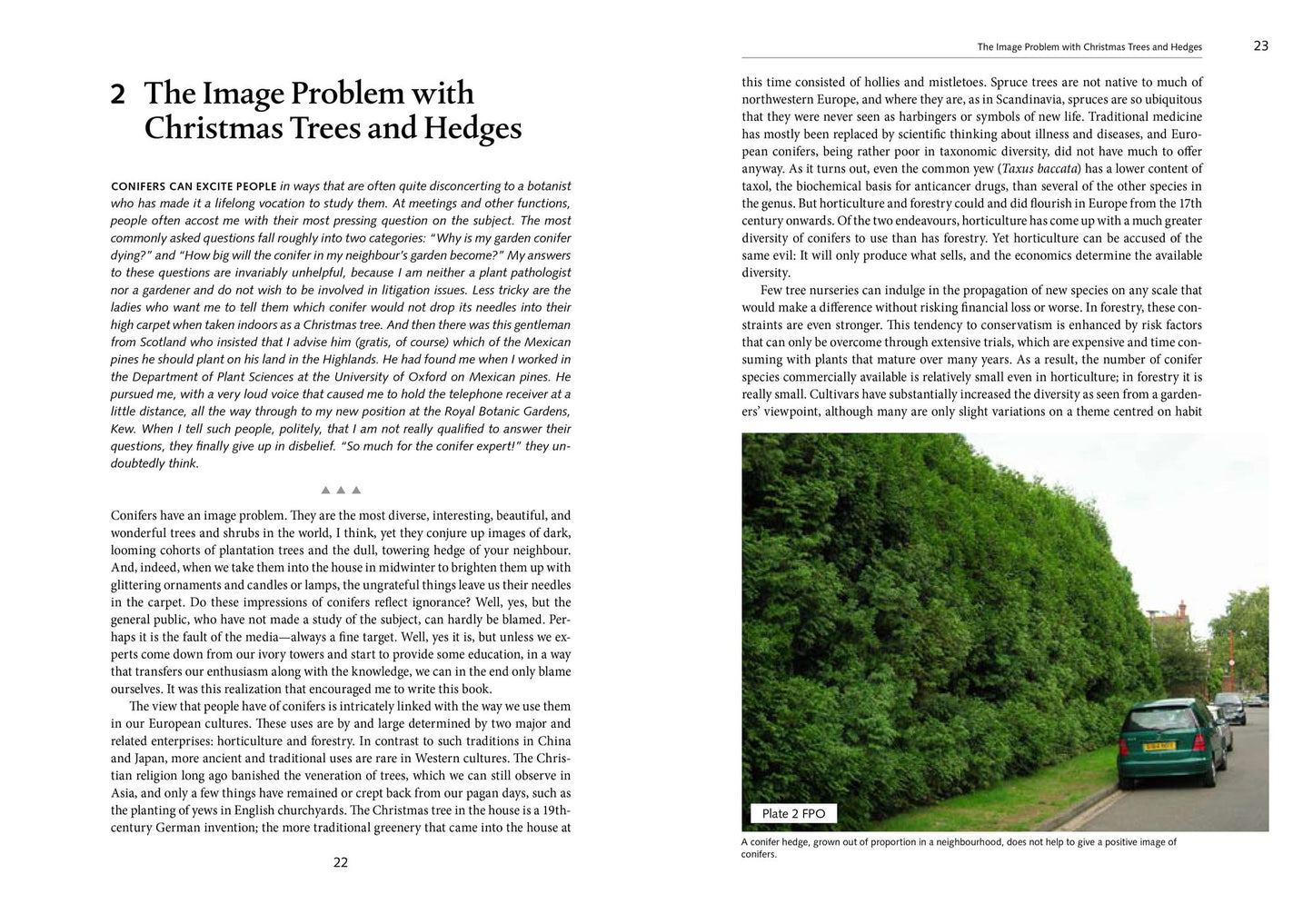 A Natural History of Conifers