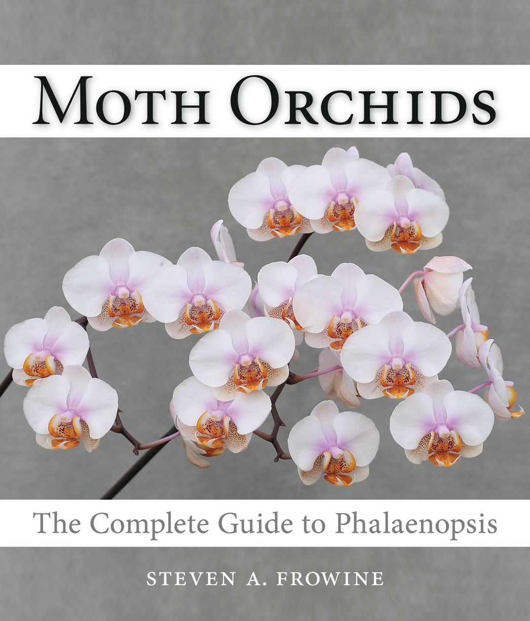 Moth Orchids: The Complete Guide to Phalaenopsis