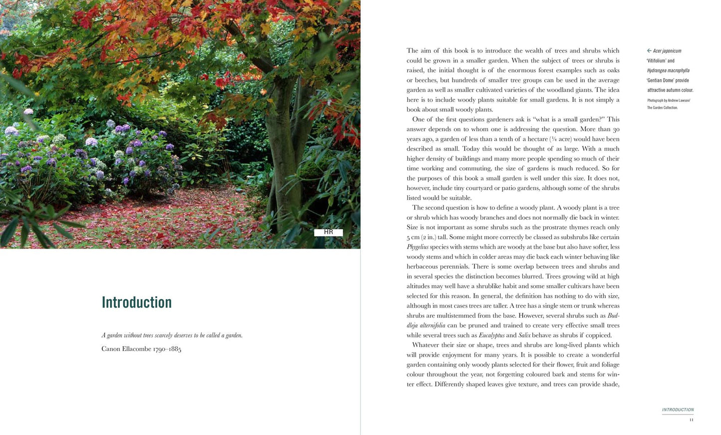 400 Trees and Shrubs for Small Spaces