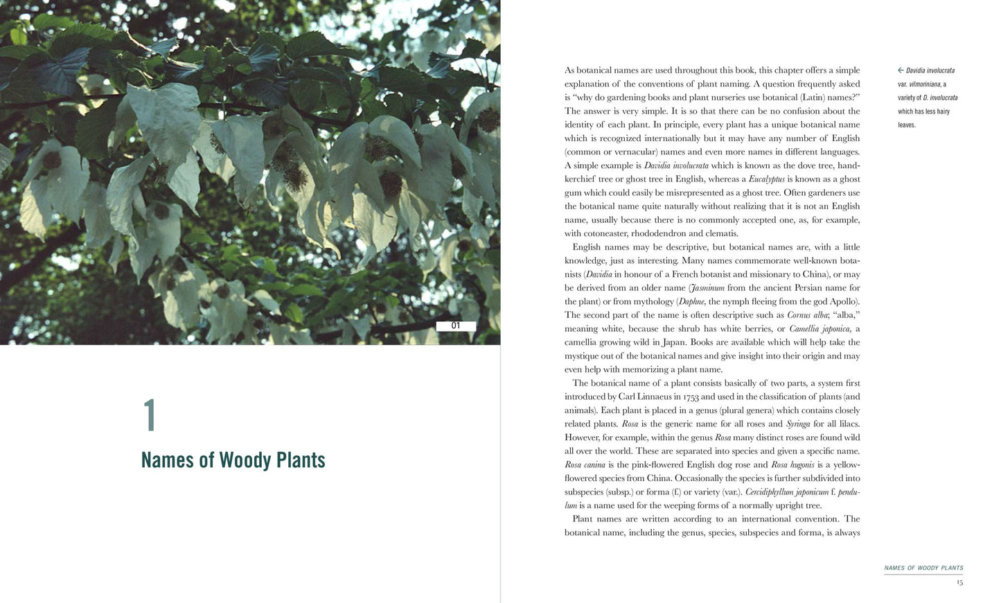 400 Trees and Shrubs for Small Spaces