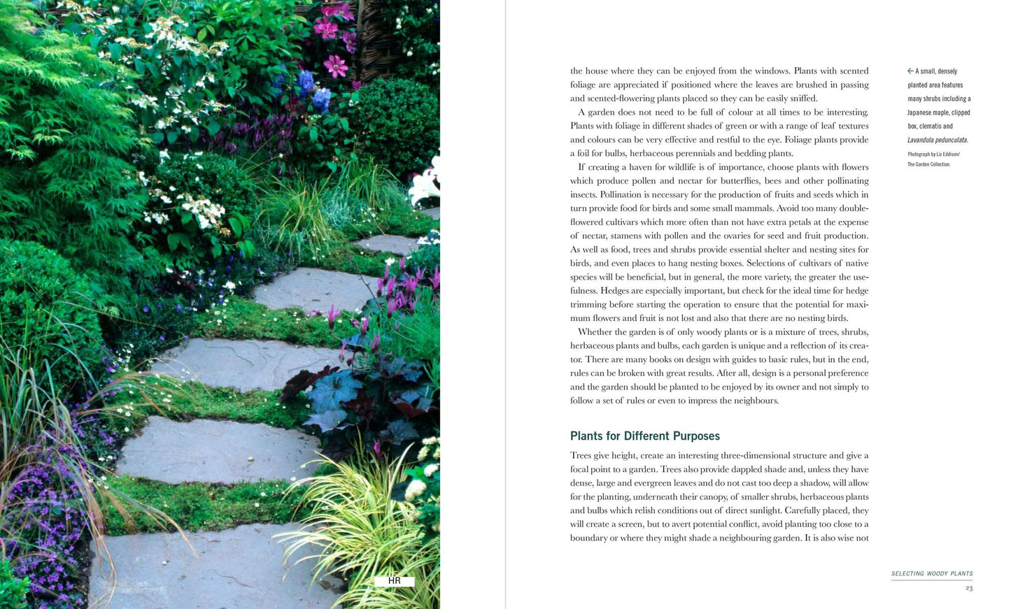 400 Trees and Shrubs for Small Spaces