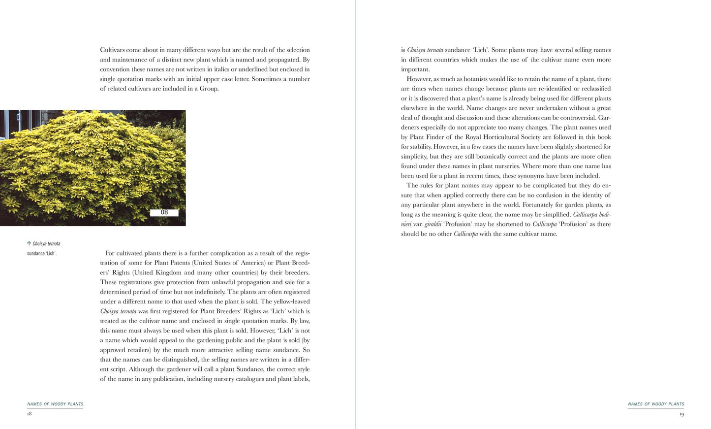 400 Trees and Shrubs for Small Spaces