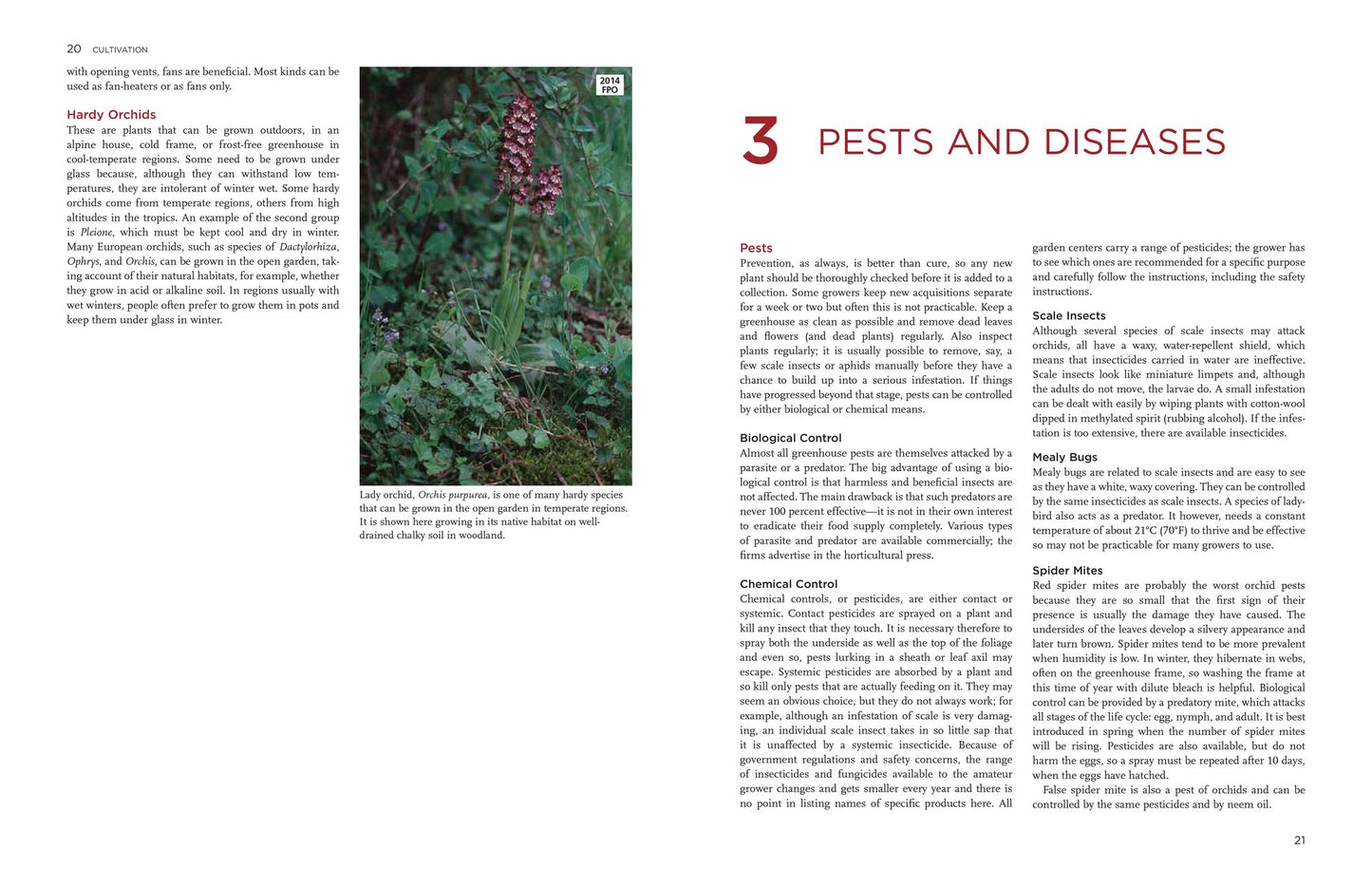 The New Encyclopedia of Orchids: 1500 Species in Cultivation
