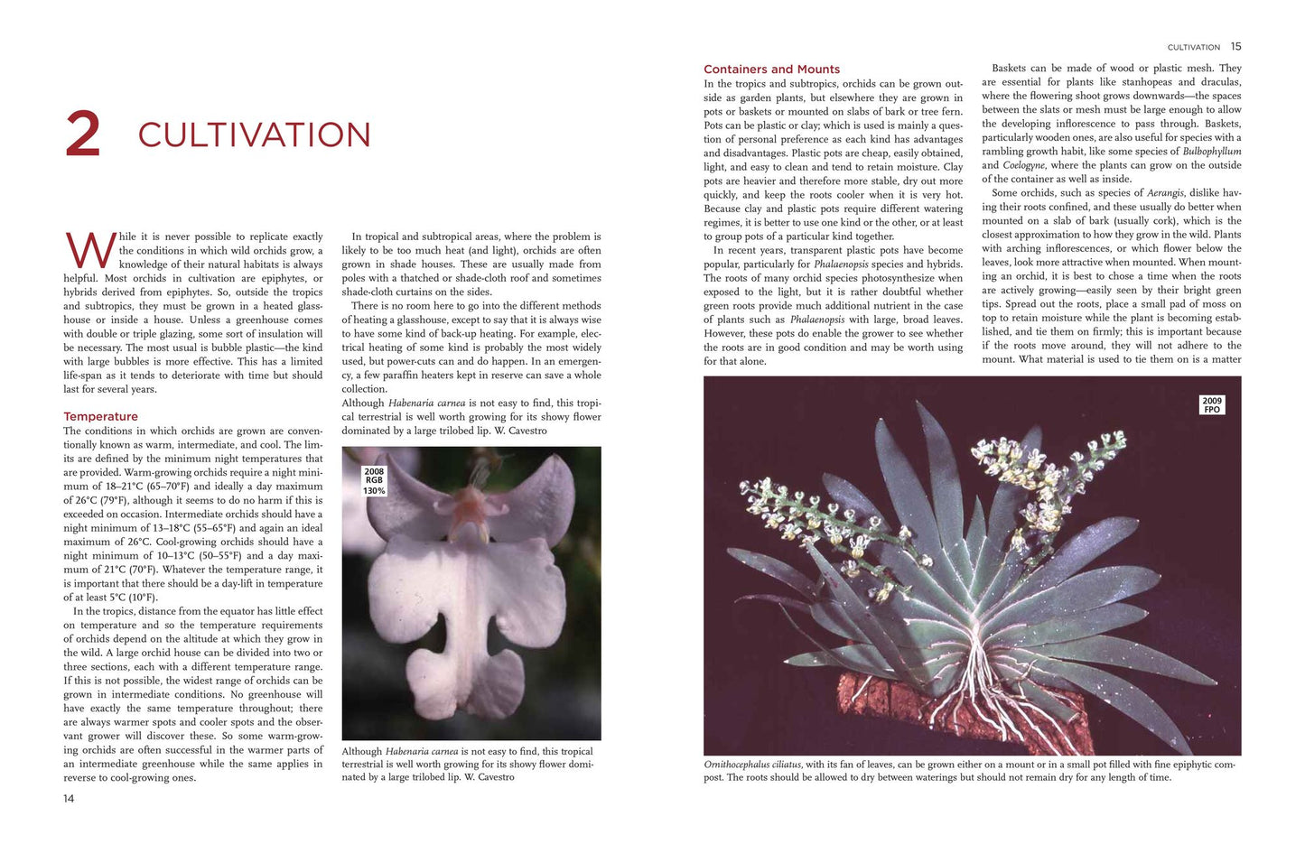 The New Encyclopedia of Orchids: 1500 Species in Cultivation