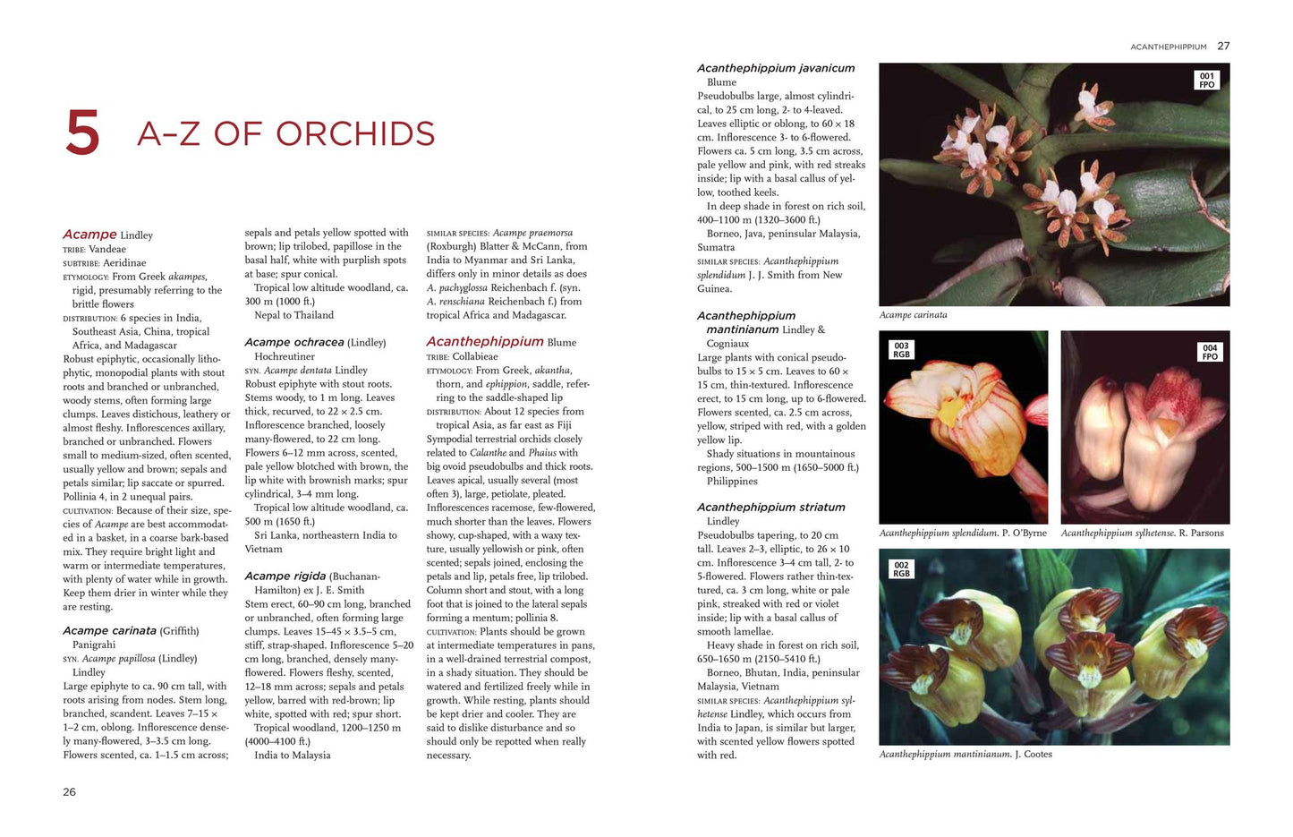 The New Encyclopedia of Orchids: 1500 Species in Cultivation