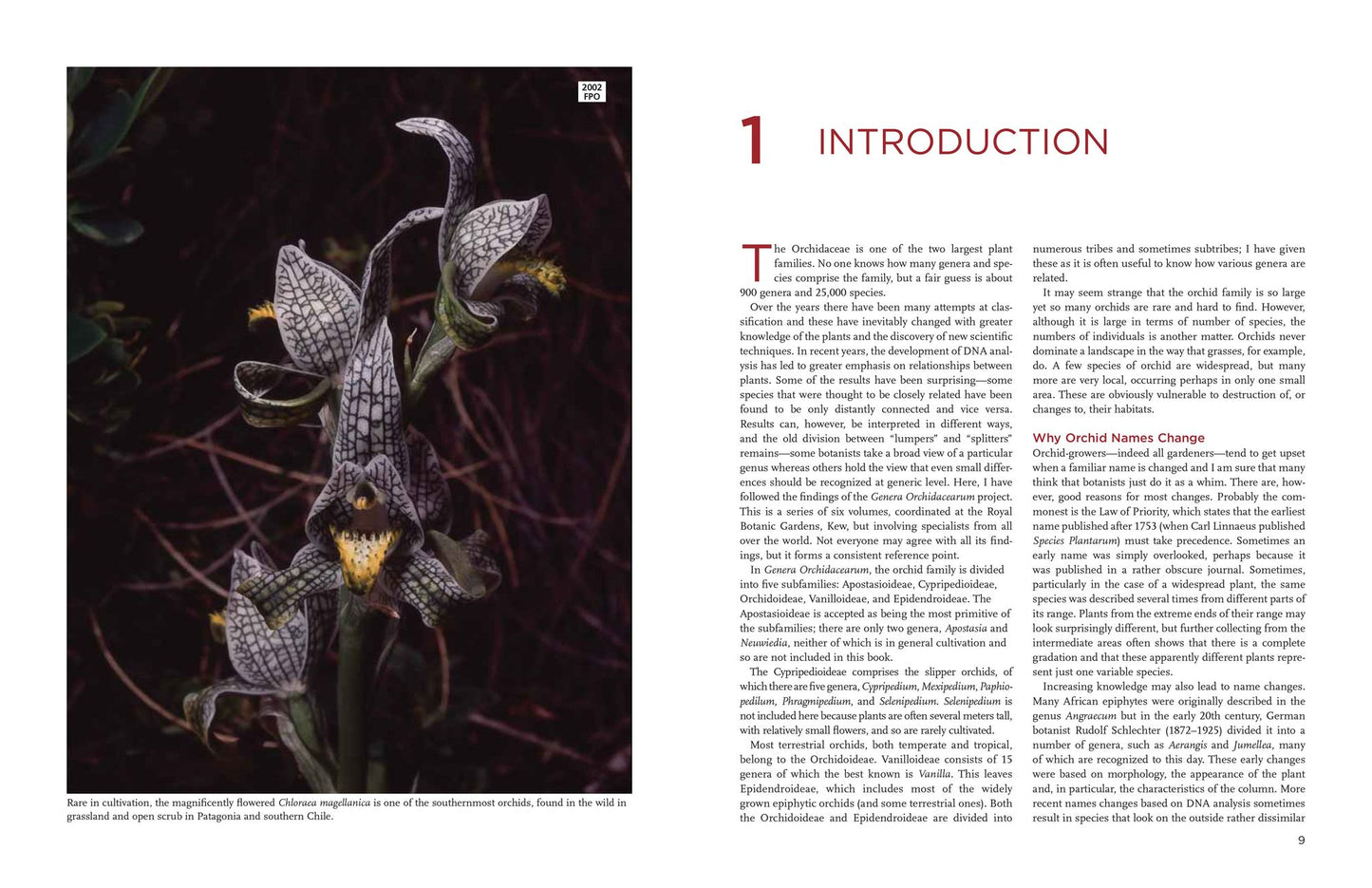 The New Encyclopedia of Orchids: 1500 Species in Cultivation