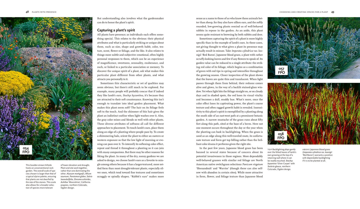 Plant-Driven Design: Creating Gardens That Honor Plants, Place, and Spirit