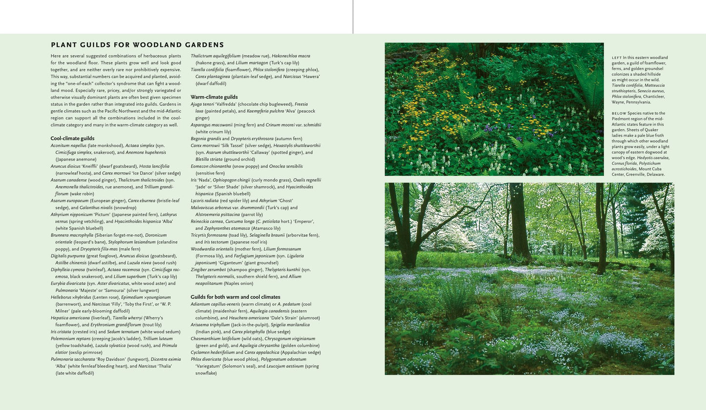 Plant-Driven Design: Creating Gardens That Honor Plants, Place, and Spirit