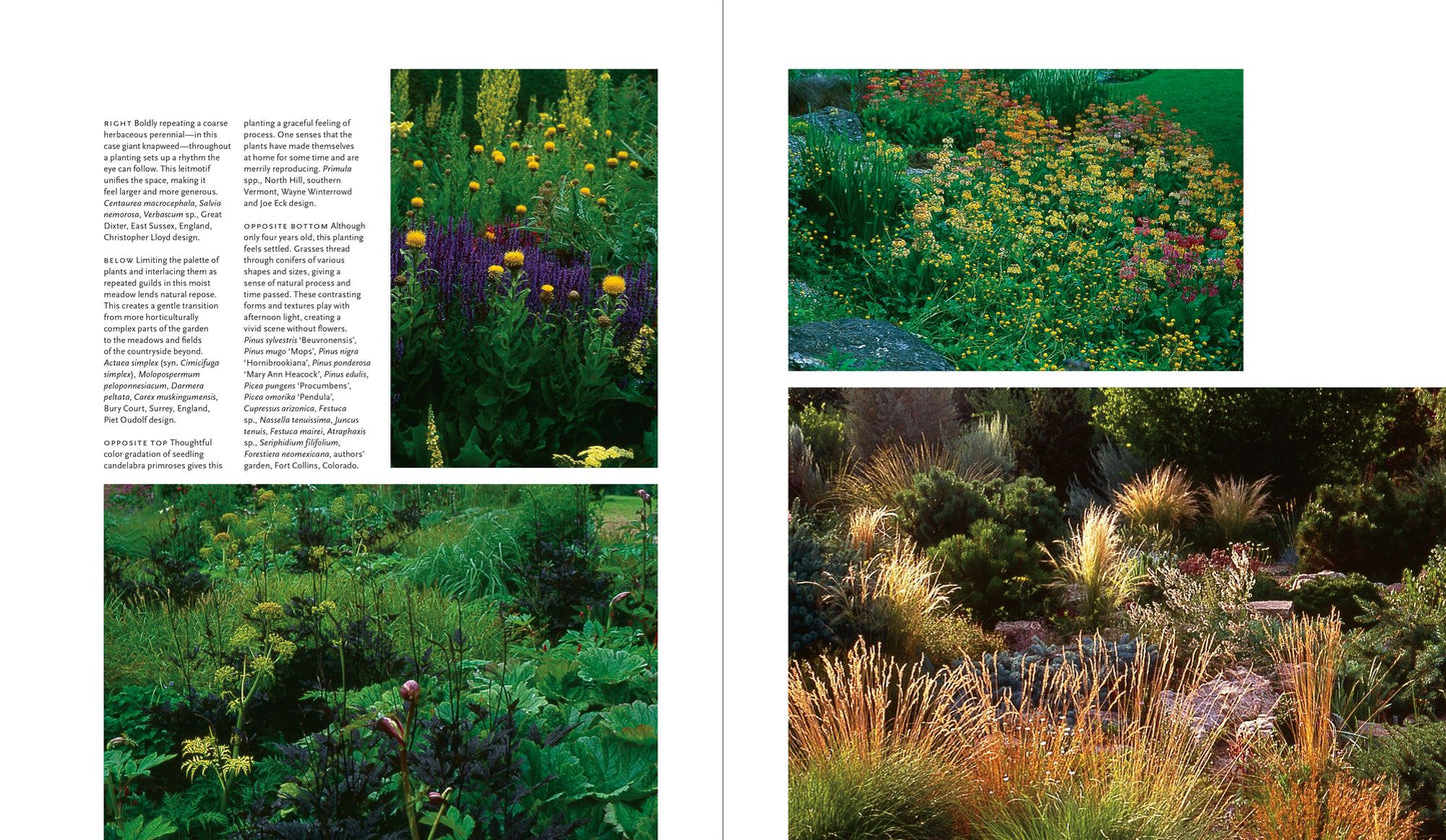 Plant-Driven Design: Creating Gardens That Honor Plants, Place, and Spirit