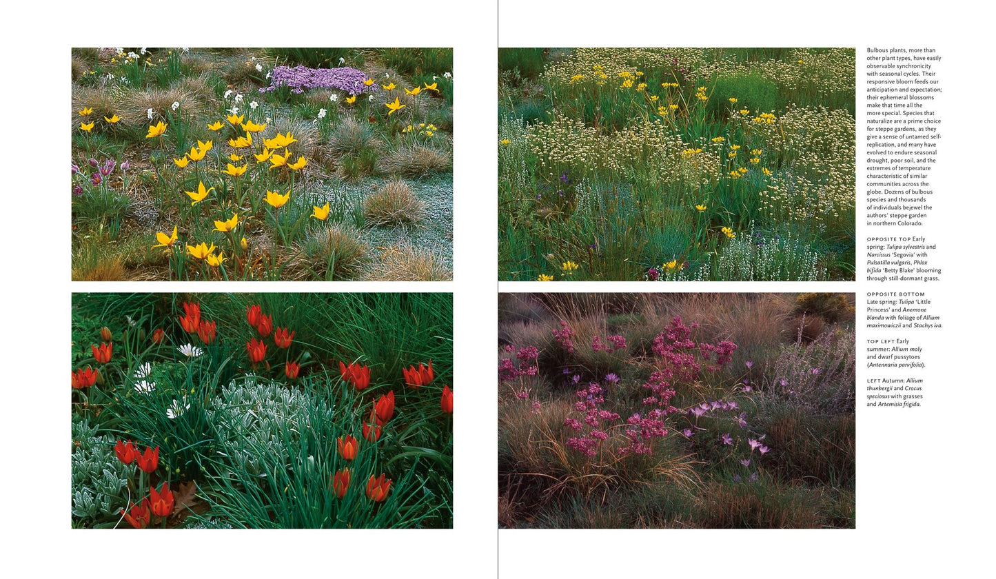 Plant-Driven Design: Creating Gardens That Honor Plants, Place, and Spirit