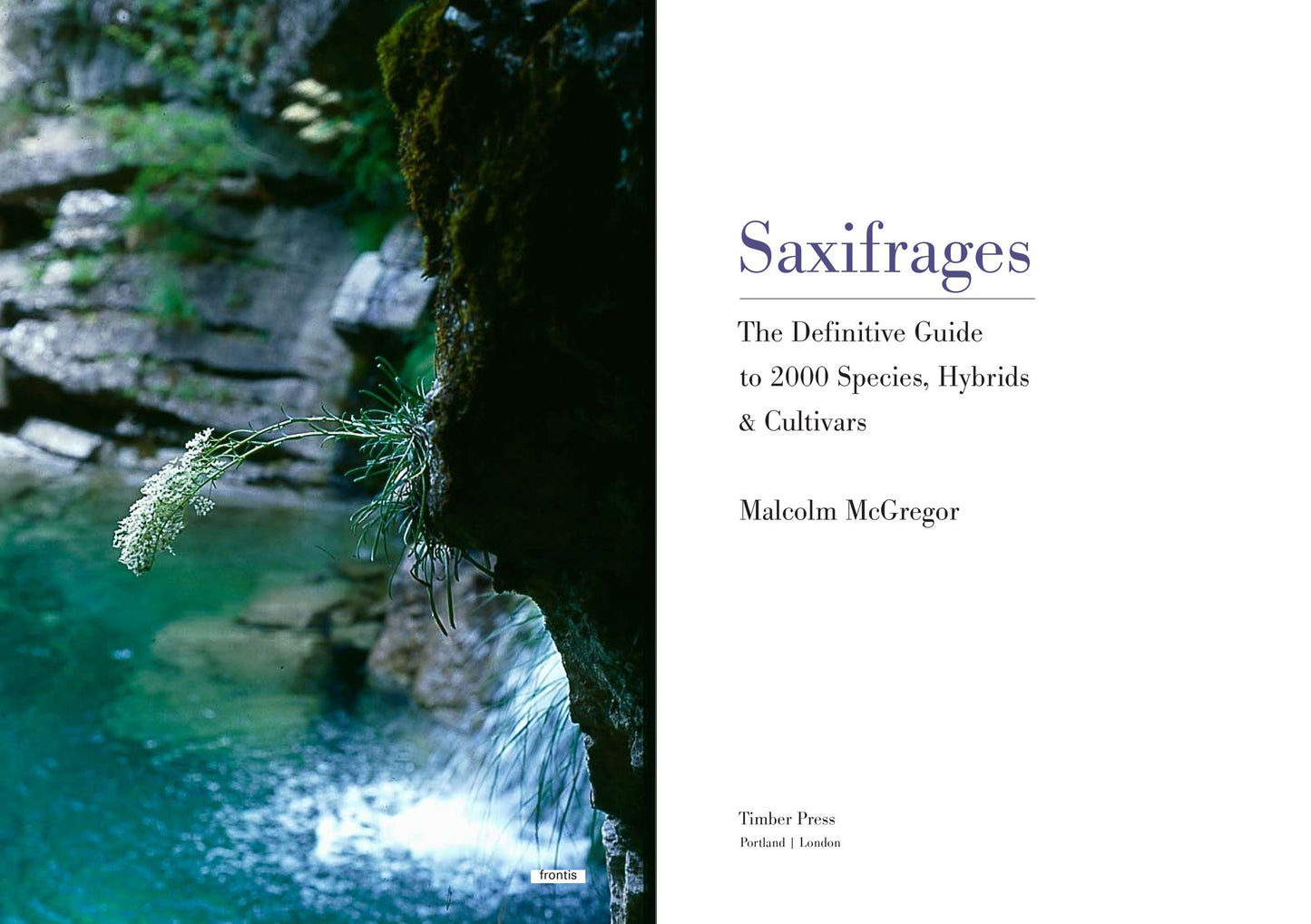 Saxifrages: A Definitive Guide to 2000 Species, Hybrids & Cultivars