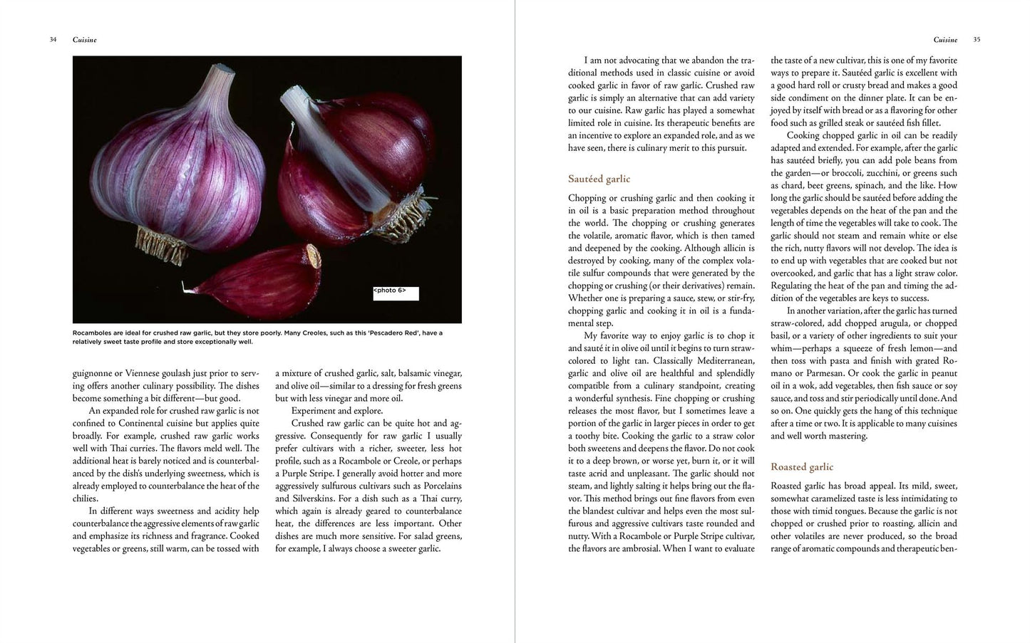 The Complete Book of Garlic: A Guide for Gardeners, Growers, and Serious Cooks