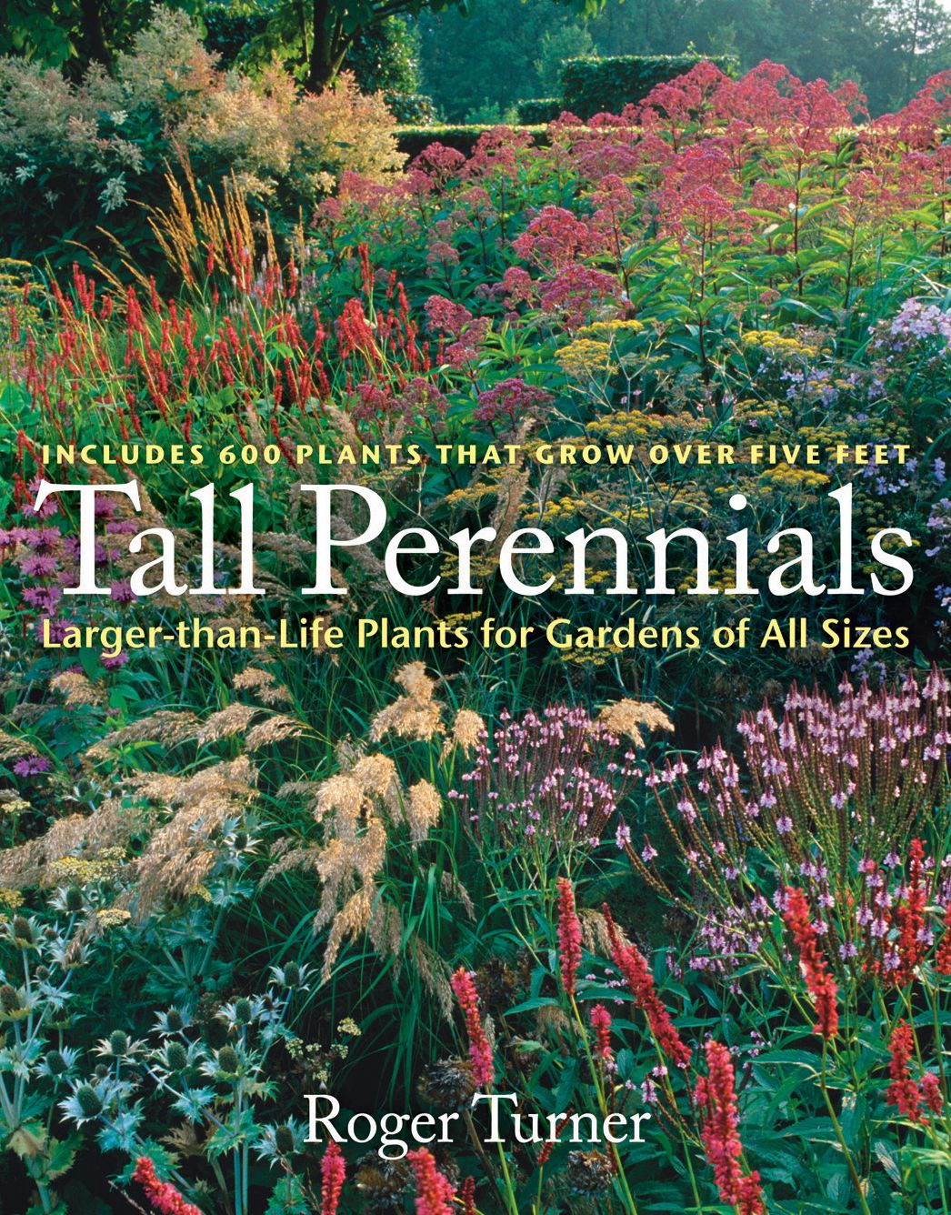 Tall Perennials: Larger-than-Life Plants for Gardens of All Sizes