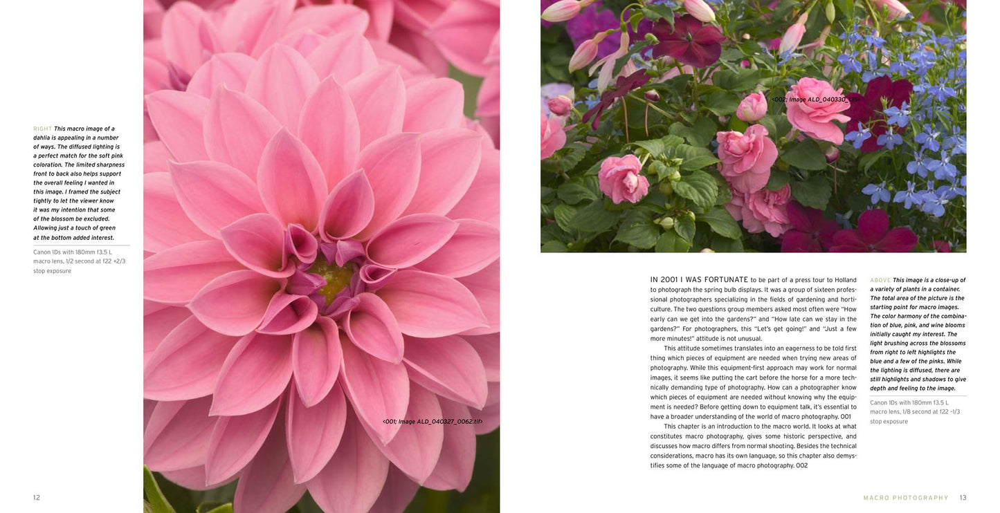 Macro Photography for Gardeners and Nature Lovers: The Essential Guide to Digital Techniques