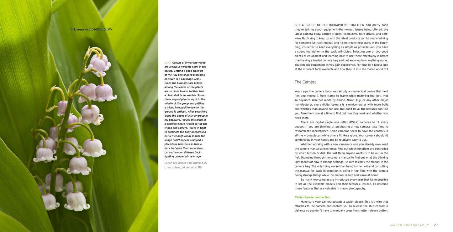Macro Photography for Gardeners and Nature Lovers: The Essential Guide to Digital Techniques