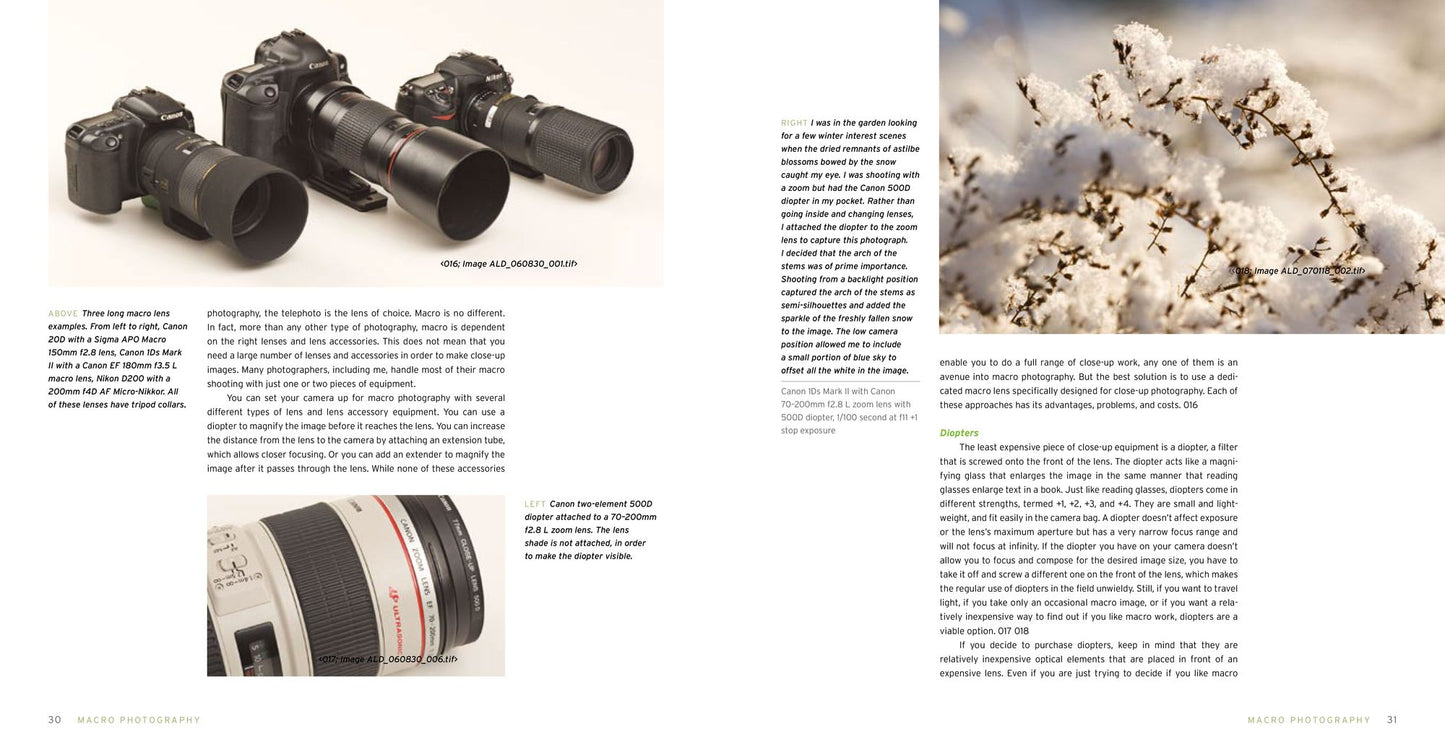 Macro Photography for Gardeners and Nature Lovers: The Essential Guide to Digital Techniques
