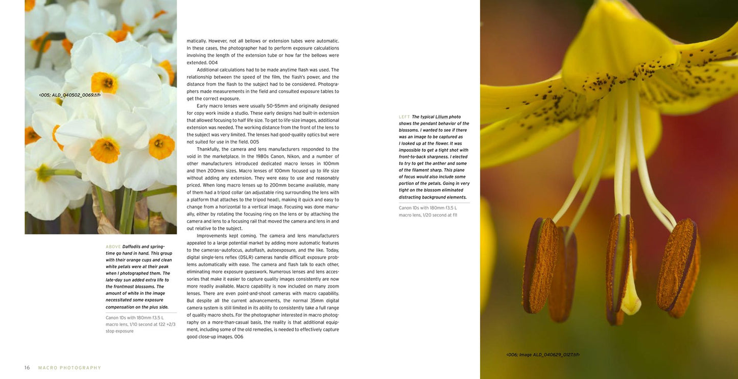 Macro Photography for Gardeners and Nature Lovers: The Essential Guide to Digital Techniques