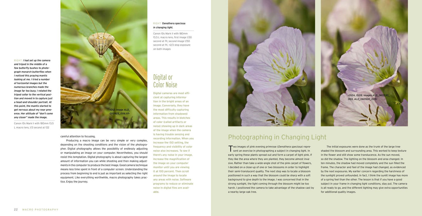 Macro Photography for Gardeners and Nature Lovers: The Essential Guide to Digital Techniques
