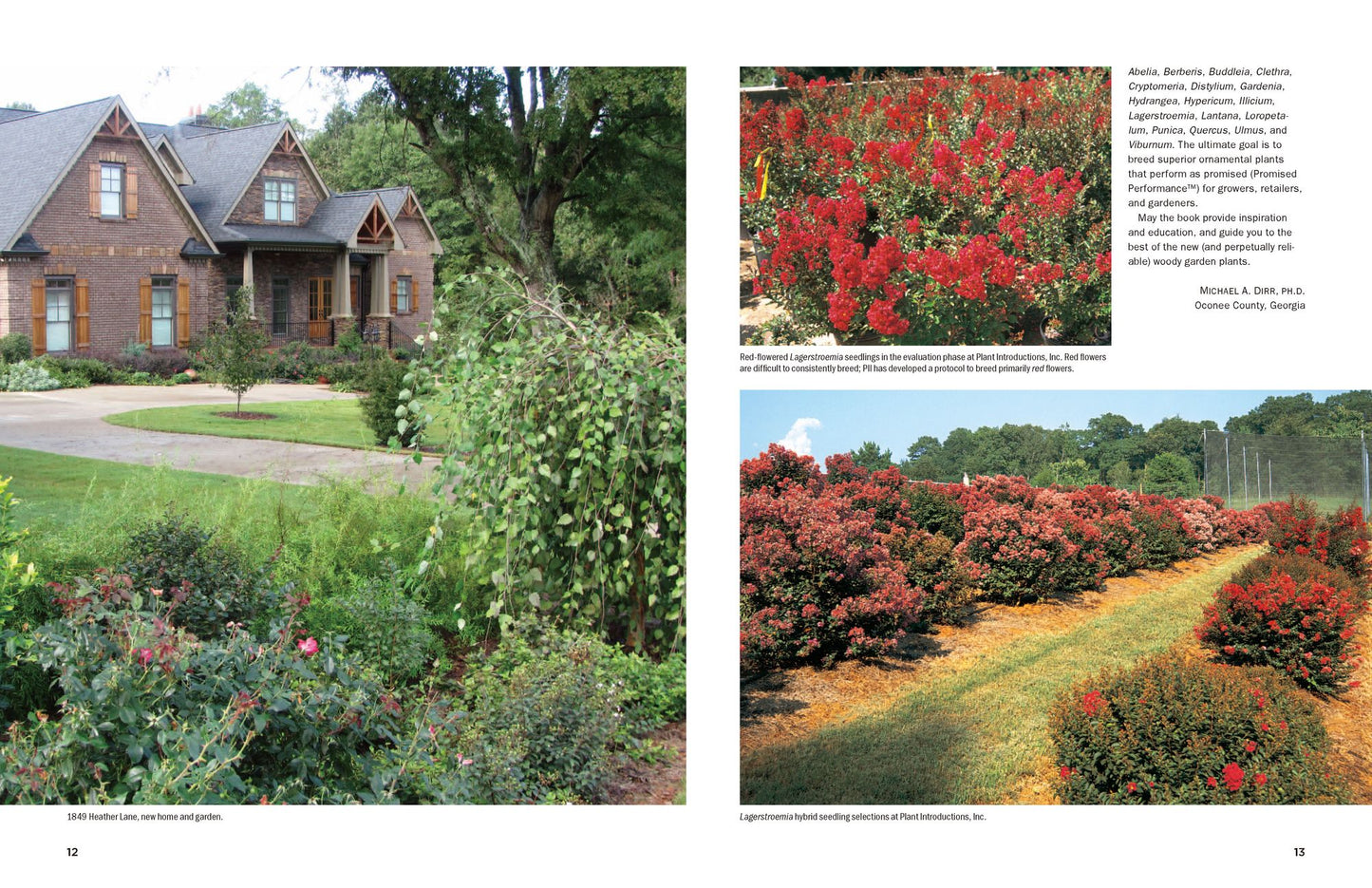 Dirr's Encyclopedia of Trees and Shrubs